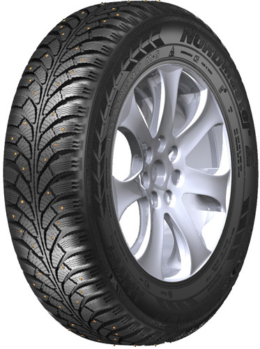 Amtel NordMaster 2 195/55 R15