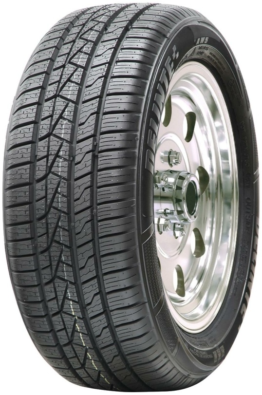 Delinte AW5 205/55 R16