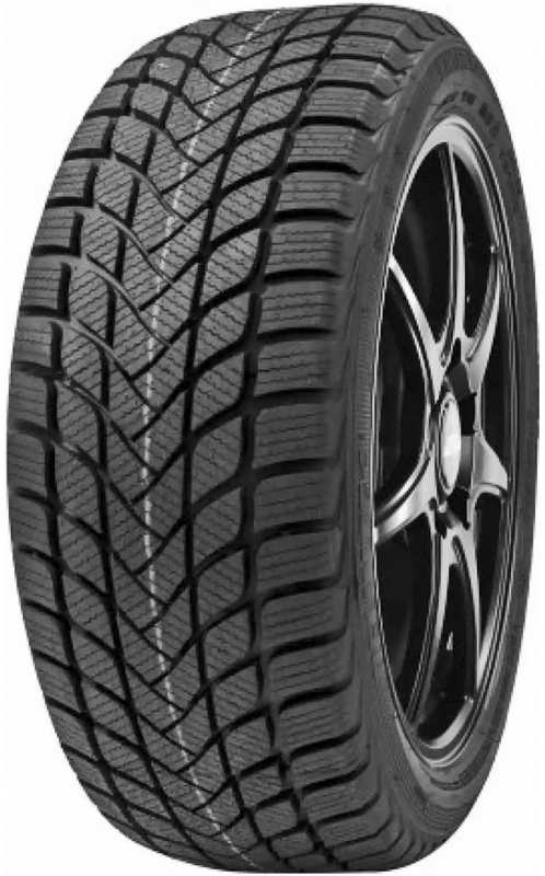 Delinte Winter WD6 215/55 R17