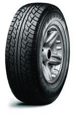 Dunlop Grandtrek ST1 170/60 R17