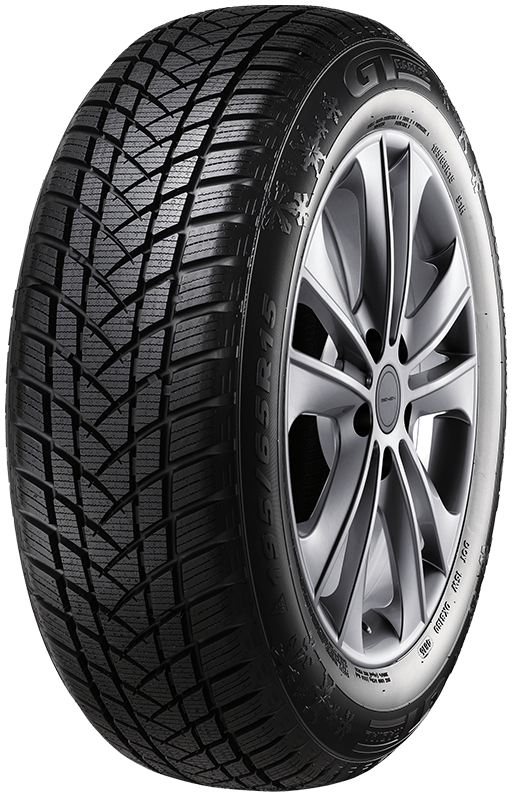 GT Radial WinterPro 2 205/55 R16