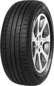 Minerva F209 215/55 R16