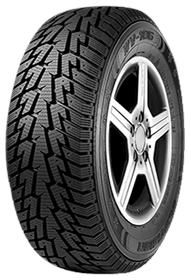 Ovation Ecovision WV-06 99/98 R14