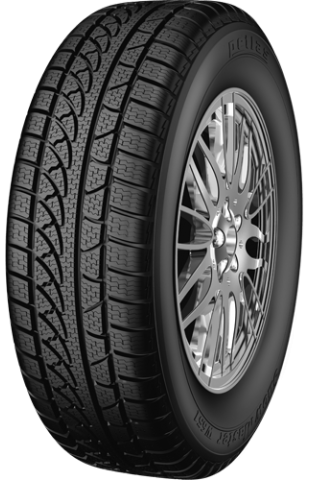 Petlas Snow Master W651 205/55 R15
